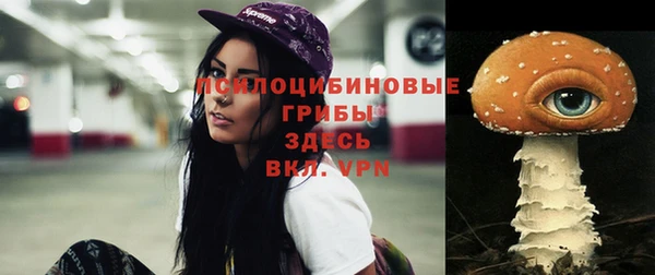прущие крисы Алзамай