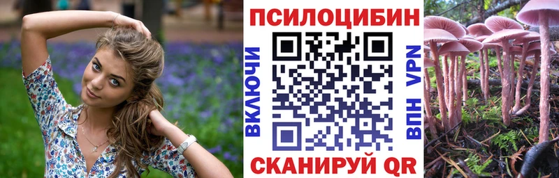 Галлюциногенные грибы мицелий  KRAKEN зеркало  Славск 